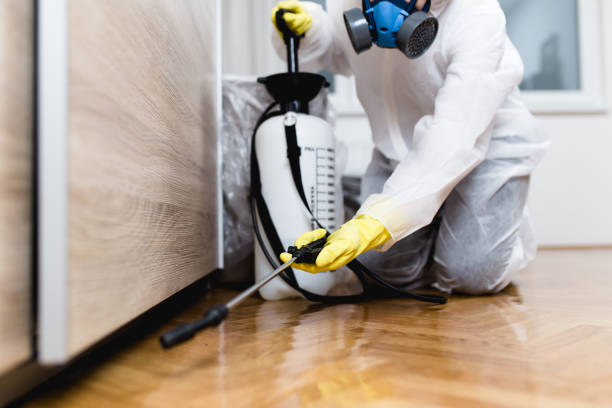 Best Flea Control Services  in Hohenwald, TN