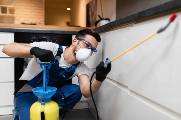 Best Termite Control Services  in Hohenwald, TN