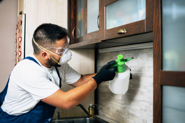 Best Mosquito Control Services  in Hohenwald, TN