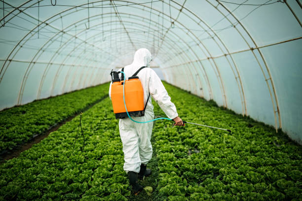 Best Local Pest Control Services  in Hohenwald, TN