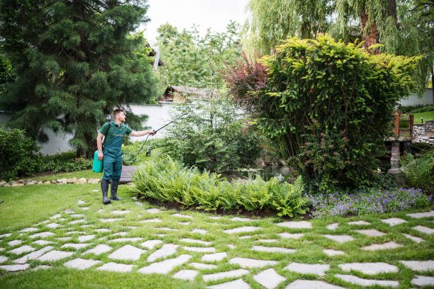 Best Wasp Removal Services  in Hohenwald, TN