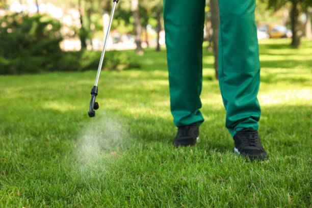 Best Exterminator Services  in Hohenwald, TN