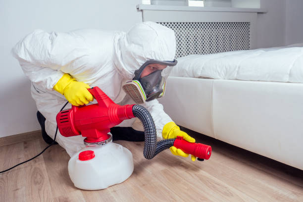 Best Affordable Pest Control Services  in Hohenwald, TN