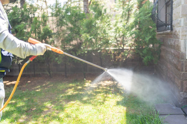 Best Wasp Removal Services  in Hohenwald, TN
