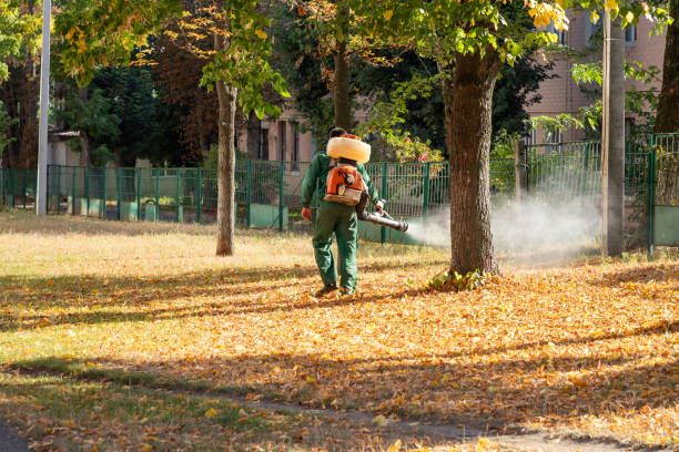 Best Pest Prevention Services  in Hohenwald, TN