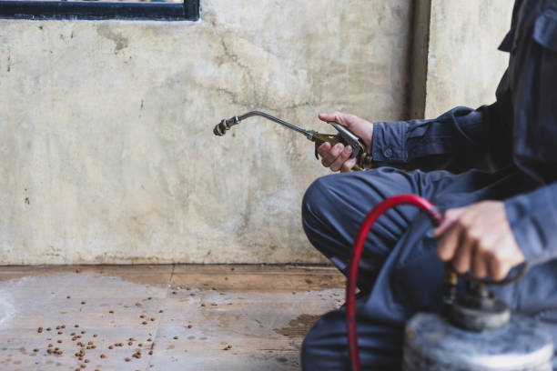 Best Cockroach Control Services  in Hohenwald, TN